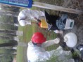 /album/fotogaleria/a20150517-081610-jpg/